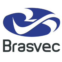 Brasvec Logo